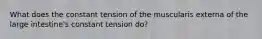 What does the constant tension of the muscularis externa of the large intestine's constant tension do?