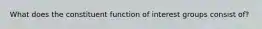 What does the constituent function of interest groups consist of?