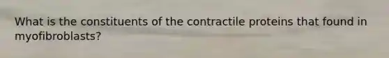 What is the constituents of the contractile proteins that found in myofibroblasts?