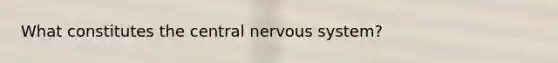 What constitutes the central nervous system?