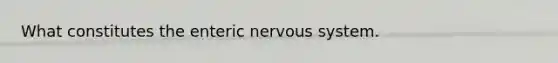 What constitutes the enteric nervous system.