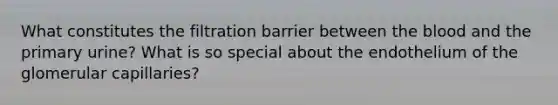 What constitutes the filtration barrier between the blood and the primary urine? What is so special about the endothelium of the glomerular capillaries?