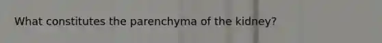 What constitutes the parenchyma of the kidney?