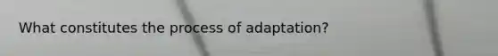 What constitutes the process of adaptation?