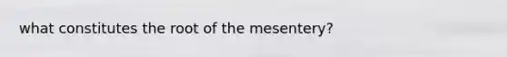 what constitutes the root of the mesentery?