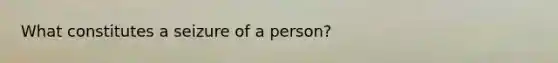 What constitutes a seizure of a person?