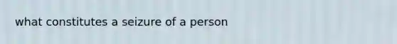 what constitutes a seizure of a person