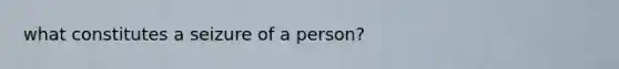 what constitutes a seizure of a person?