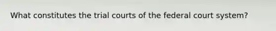 What constitutes the trial courts of the federal court system?