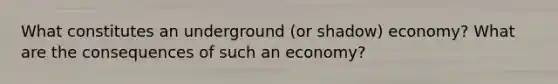 What constitutes an underground (or shadow) economy? What are the consequences of such an economy?