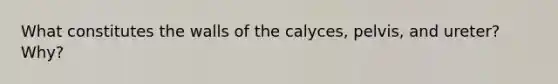 What constitutes the walls of the calyces, pelvis, and ureter? Why?