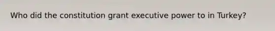 Who did the constitution grant executive power to in Turkey?