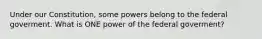 Under our Constitution, some powers belong to the federal goverment. What is ONE power of the federal goverment?