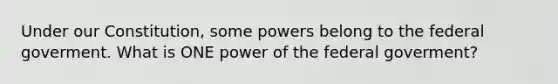 Under our Constitution, some powers belong to the federal goverment. What is ONE power of the federal goverment?