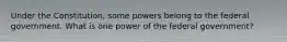 Under the Constitution, some powers belong to the federal government. What is one power of the federal government?