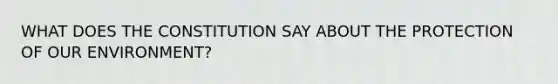 WHAT DOES THE CONSTITUTION SAY ABOUT THE PROTECTION OF OUR ENVIRONMENT?