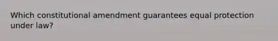 Which constitutional amendment guarantees equal protection under law?