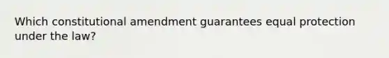 Which constitutional amendment guarantees equal protection under the law?