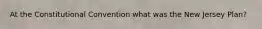 At the Constitutional Convention what was the New Jersey Plan?