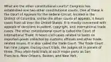 What are the other constitutional courts? Congress has established one two other constitutional courts. One of these is the Court of Appeals for the Federal Circuit, located in the District of Columbia. Unlike the other courts of appeals, it hears cases from all over the United States. It is mostly concerned with appeals of decisions in patent, copyright, and international trade cases. The other constitutional court is called the Court of International Trade. It hears civil cases related to taxes on imported goods collected by customs officials and other trade-related issues. It is also called the Trade Court. The Trade Court has nine judges. During court trials, the judges sit in panels of three. They often hold trials at such major ports as San Francisco, New Orleans, Boston, and New York.