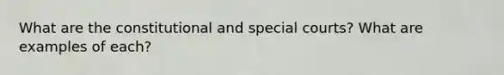 What are the constitutional and special courts? What are examples of each?