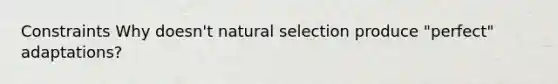 Constraints Why doesn't natural selection produce "perfect" adaptations?