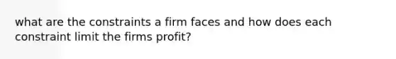 what are the constraints a firm faces and how does each constraint limit the firms profit?