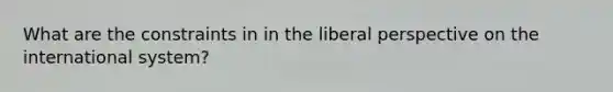 What are the constraints in in the liberal perspective on the international system?