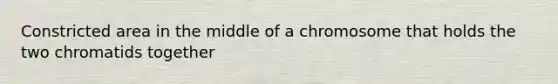 Constricted area in the middle of a chromosome that holds the two chromatids together