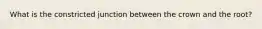 What is the constricted junction between the crown and the root?