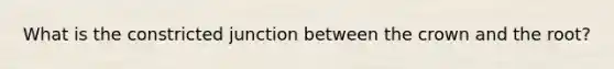 What is the constricted junction between the crown and the root?