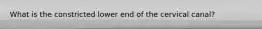 What is the constricted lower end of the cervical canal?