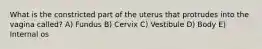 What is the constricted part of the uterus that protrudes into the vagina called? A) Fundus B) Cervix C) Vestibule D) Body E) Internal os