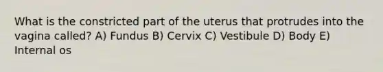 What is the constricted part of the uterus that protrudes into the vagina called? A) Fundus B) Cervix C) Vestibule D) Body E) Internal os