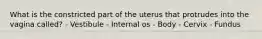 What is the constricted part of the uterus that protrudes into the vagina called? - Vestibule - Internal os - Body - Cervix - Fundus