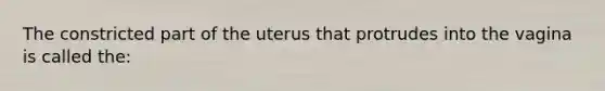 The constricted part of the uterus that protrudes into the vagina is called the: