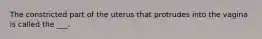 The constricted part of the uterus that protrudes into the vagina is called the ___.