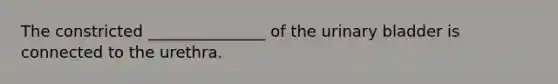 The constricted _______________ of the urinary bladder is connected to the urethra.