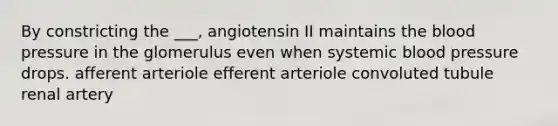 By constricting the ___, angiotensin II maintains the blood pressure in the glomerulus even when systemic blood pressure drops. afferent arteriole efferent arteriole convoluted tubule renal artery