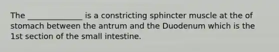 The ______________ is a constricting sphincter muscle at the of stomach between the antrum and the Duodenum which is the 1st section of the small intestine.