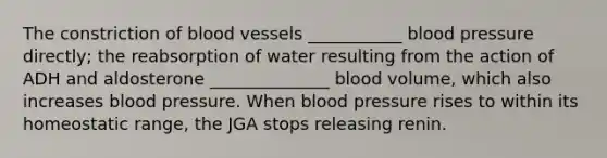 The constriction of <a href='https://www.questionai.com/knowledge/kZJ3mNKN7P-blood-vessels' class='anchor-knowledge'>blood vessels</a> ___________ <a href='https://www.questionai.com/knowledge/kD0HacyPBr-blood-pressure' class='anchor-knowledge'>blood pressure</a> directly; the reabsorption of water resulting from the action of ADH and aldosterone ______________ blood volume, which also increases blood pressure. When blood pressure rises to within its homeostatic range, the JGA stops releasing renin.