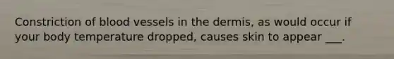 Constriction of blood vessels in the dermis, as would occur if your body temperature dropped, causes skin to appear ___.