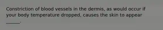 Constriction of blood vessels in the dermis, as would occur if your body temperature dropped, causes the skin to appear ______.