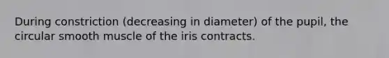 During constriction (decreasing in diameter) of the pupil, the circular smooth muscle of the iris contracts.