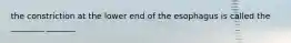 the constriction at the lower end of the esophagus is called the ________ _______