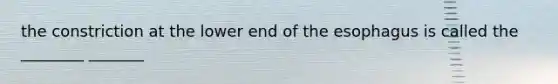 the constriction at the lower end of the esophagus is called the ________ _______