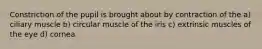 Constriction of the pupil is brought about by contraction of the a) ciliary muscle b) circular muscle of the iris c) extrinsic muscles of the eye d) cornea