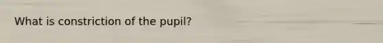 What is constriction of the pupil?