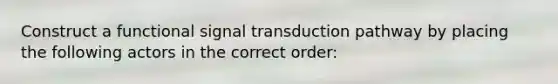 Construct a functional signal transduction pathway by placing the following actors in the correct order: