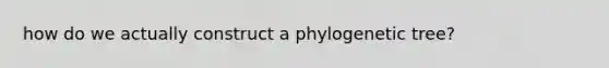 how do we actually construct a phylogenetic tree?